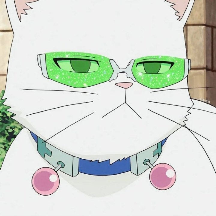 Saíki gato uwu Saiki Kusuo No Psi Nan ESPAÑOL Amino