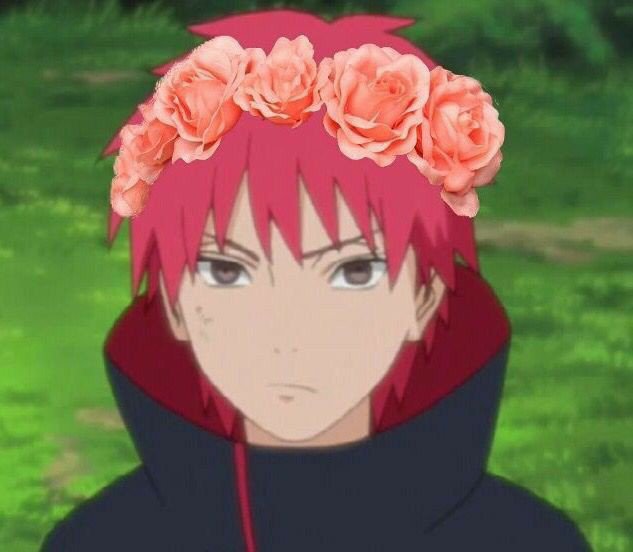 Sasori Wiki Anime Amino