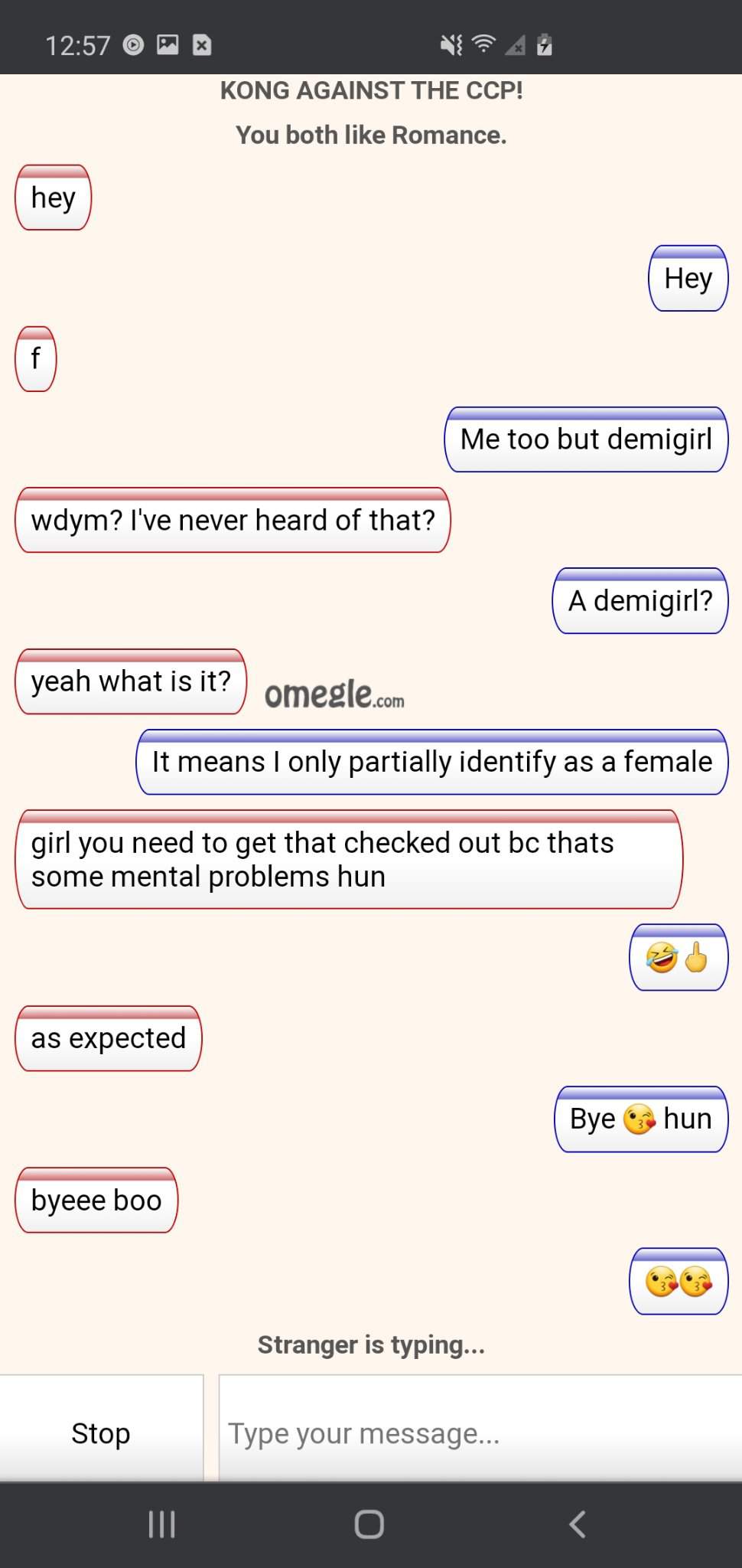 These are chats I had on omegle so funny 🤣! | Furry Amino