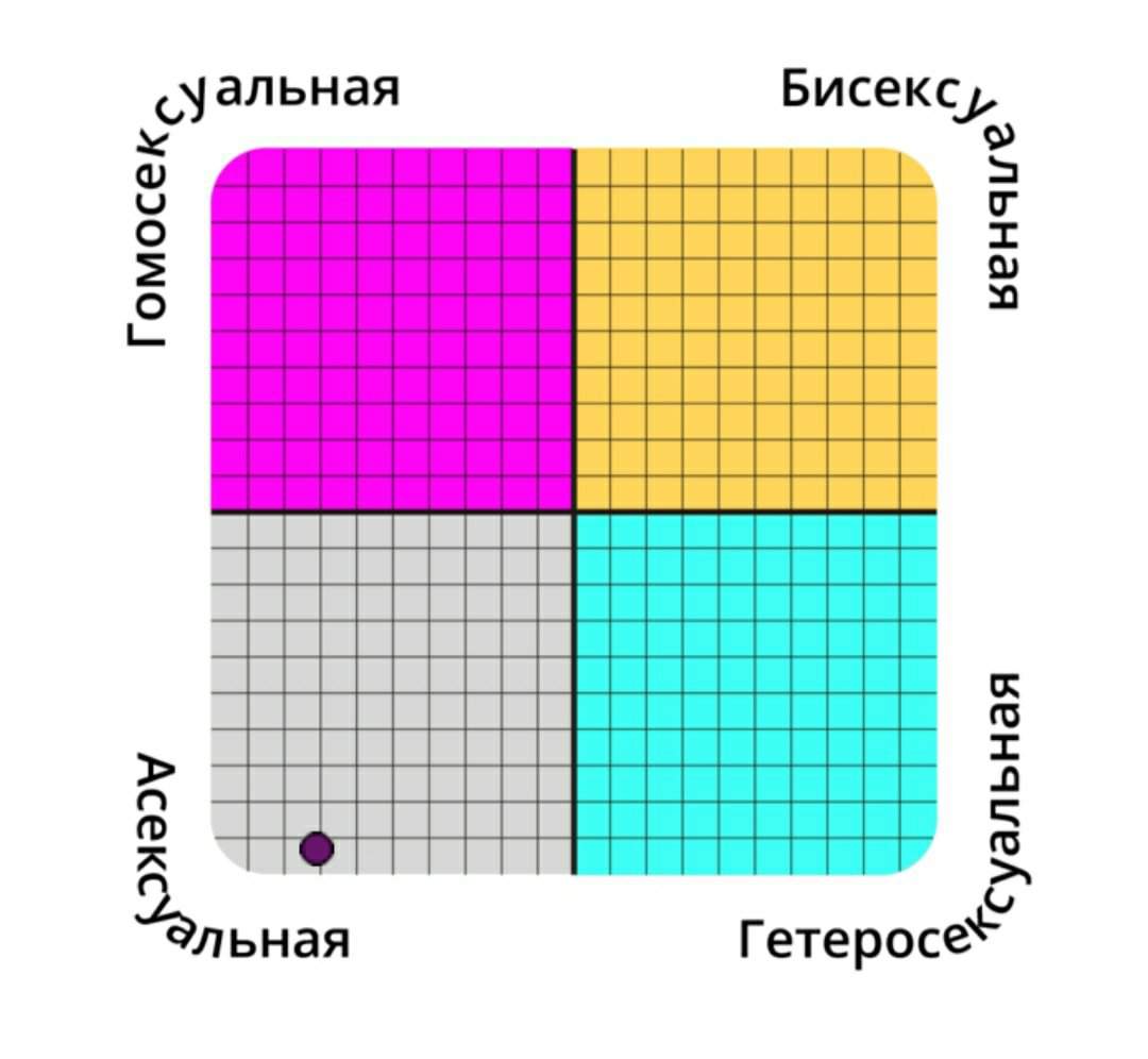 Секс С Сексуальной Ориентации