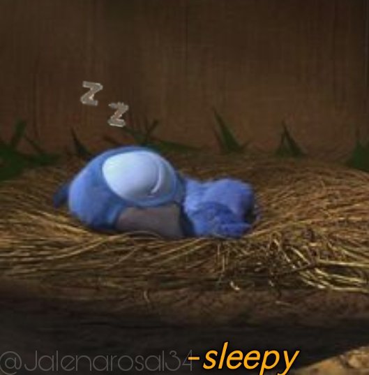 Sleepy Blu Rio Series Bird Movies Amino