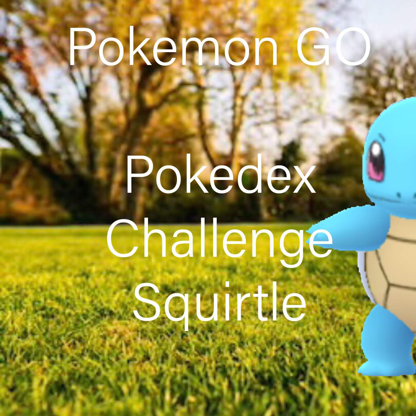 pokedex-challenge-squirtle-pokemon-go-amino