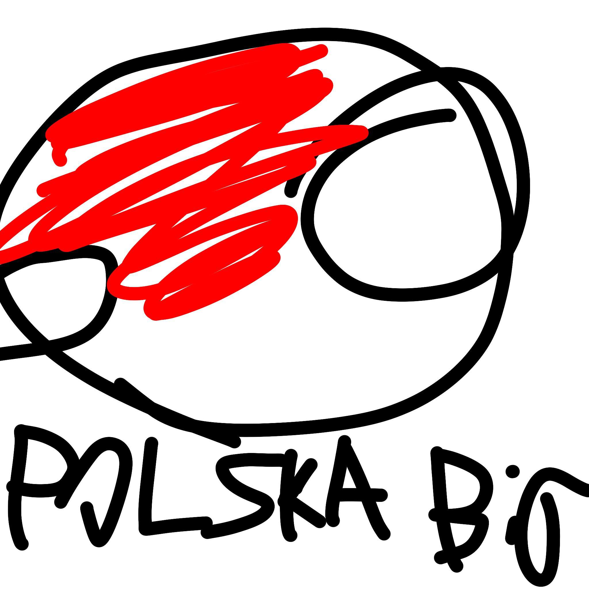 Polska Savs The Dae | Polandball Amino