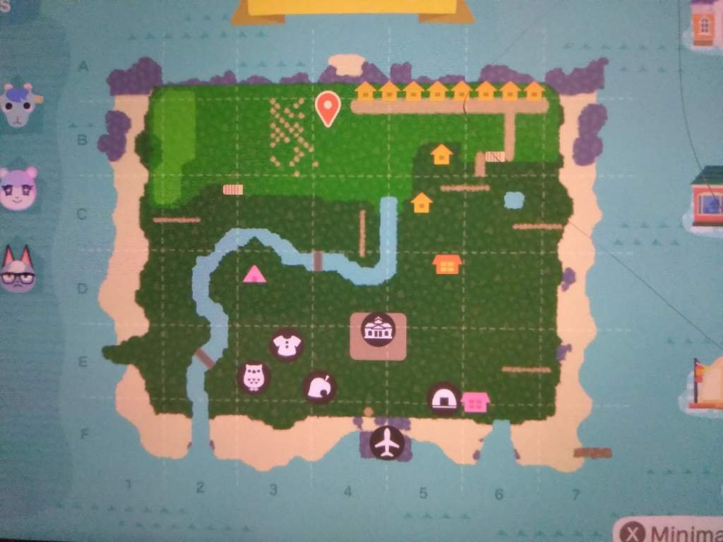 How should I setup the layout of my island? Animal Crossing Amino