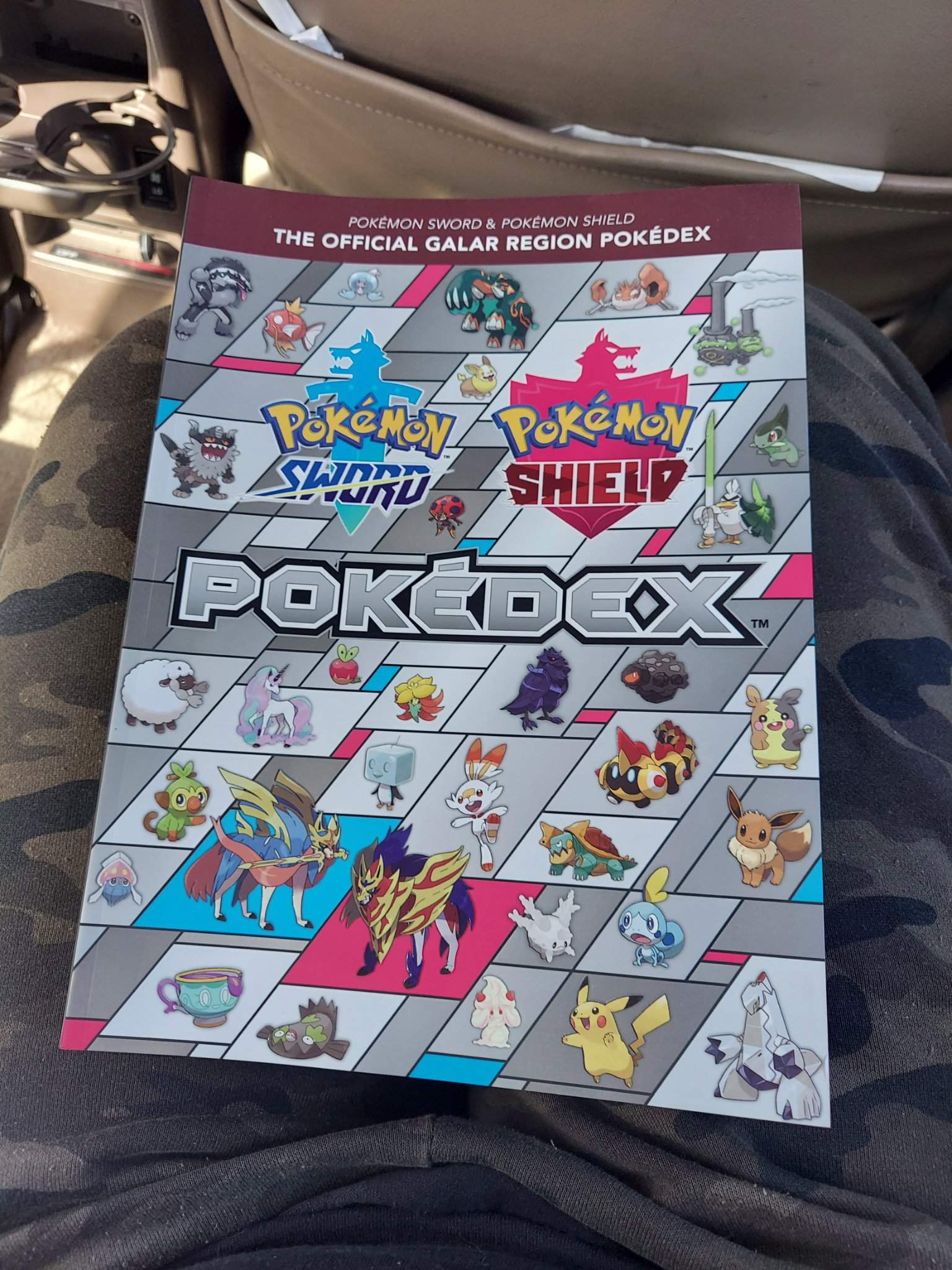 Galar pokedex book Pokémon Amino