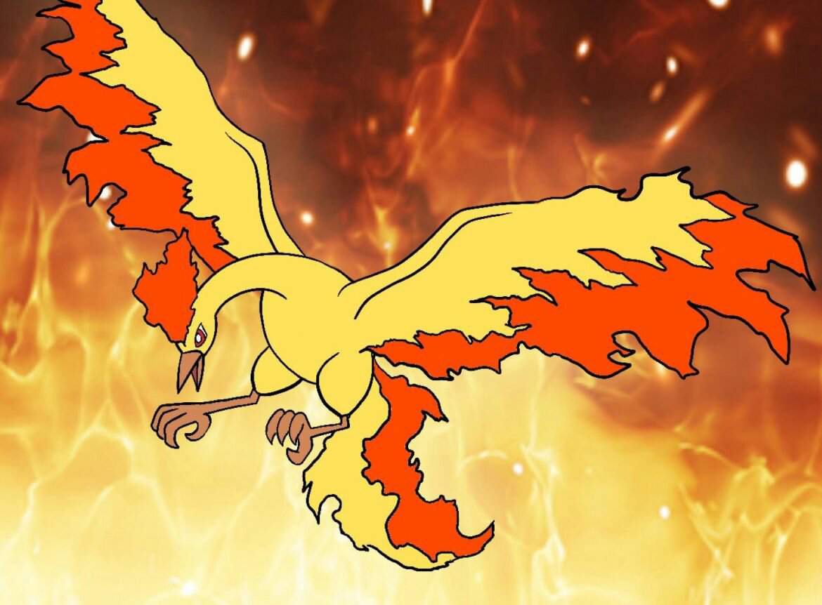 🔥Moltres🔥 | Wiki | Pokémon Amino