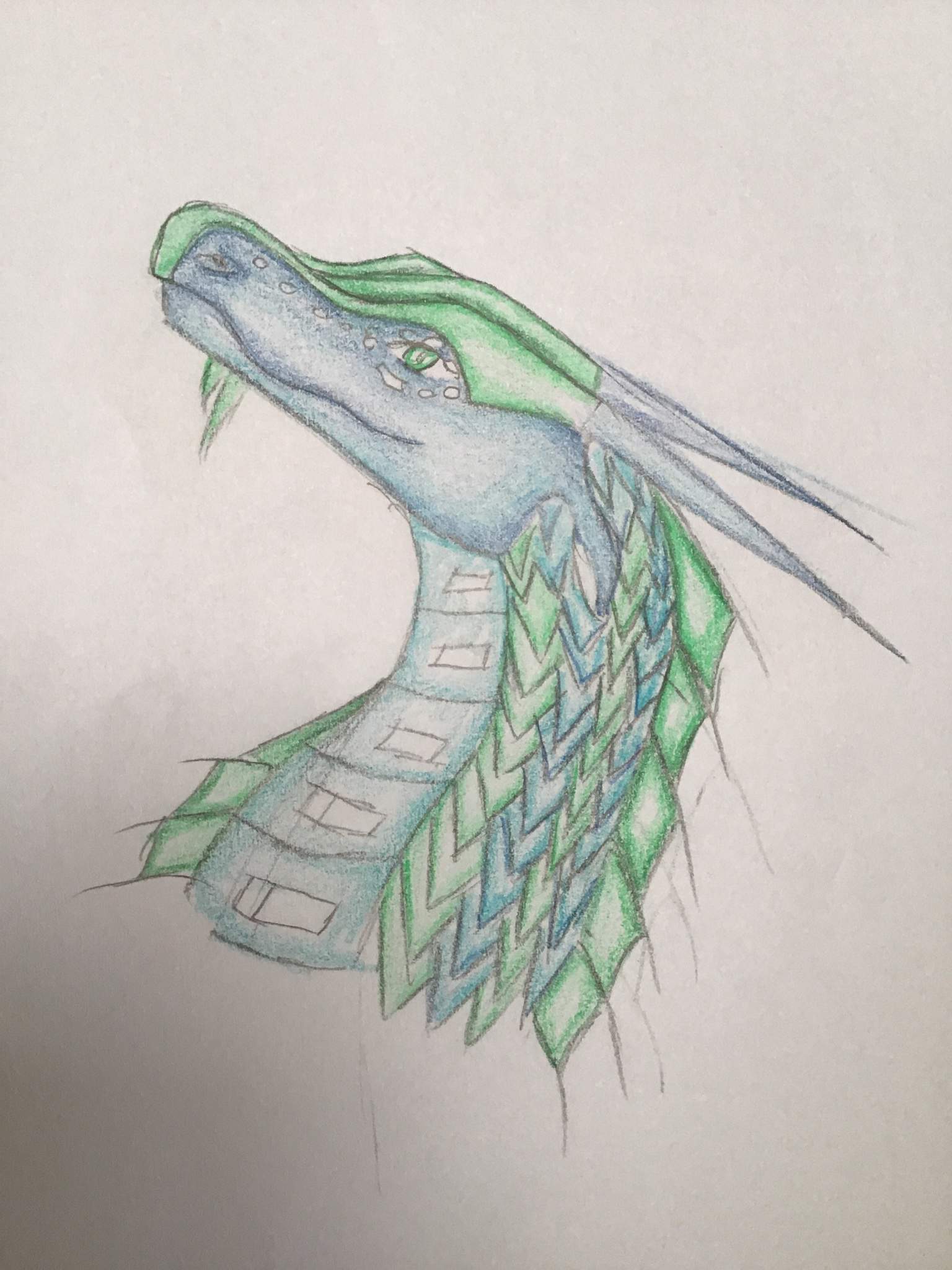 I Finally Got Around To Drawing A SeaWing IceWing Hybrid Wings Of