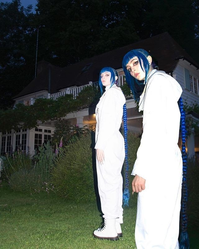 Ashnikko Wiki Lava Lamp Dogs Amino