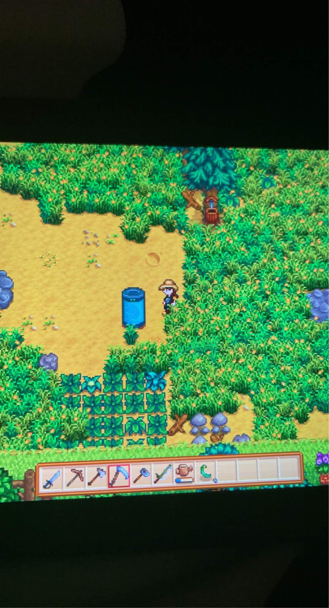 strange-capsule-stardew-valley-amino