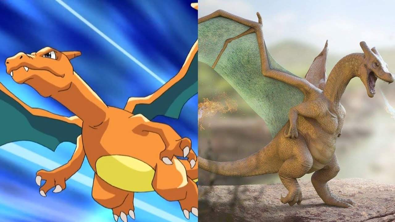 real life Charizard Pokémon Amino