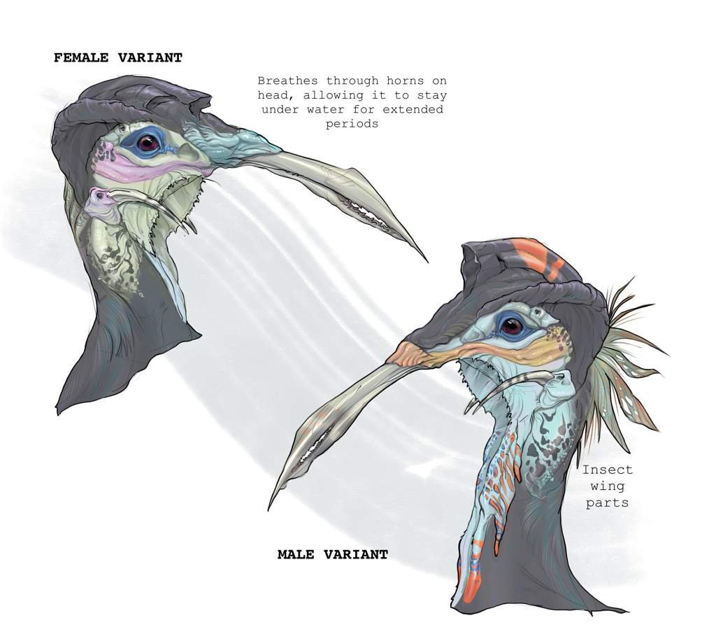 Furry Female Bird
