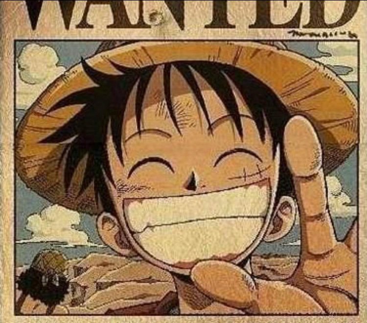 Luffy | Wiki | Anime Amino