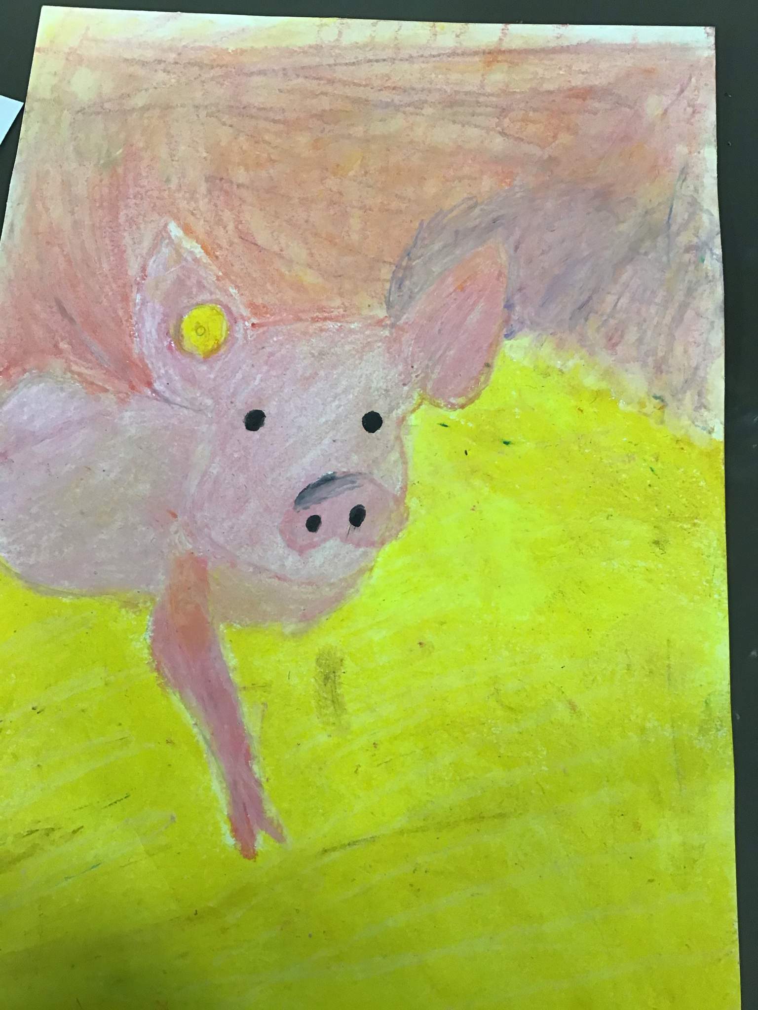 Pig 2d Drawing 