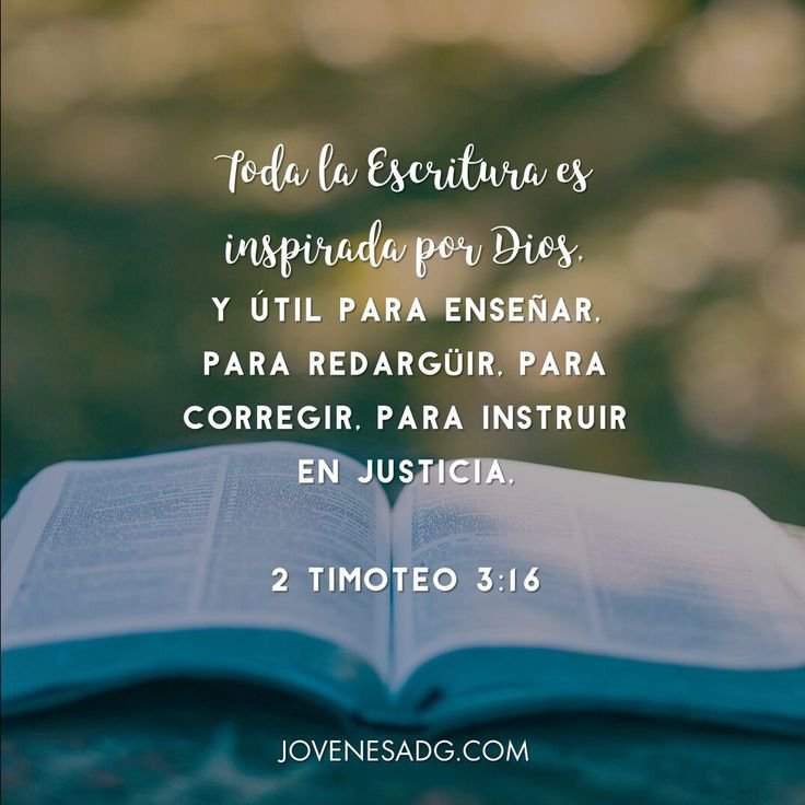 La Biblia Y Sus Divisiones Jovenes Cristianos Devotimes Amino