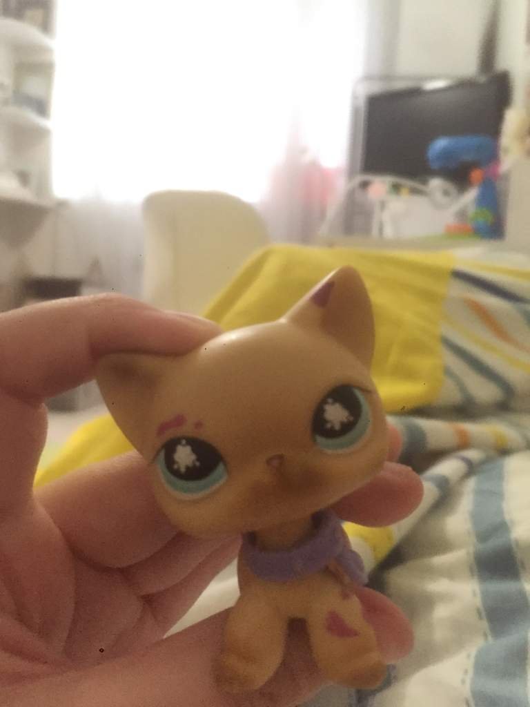 Моя LPS🗿 🏻 Wiki LPS Amino