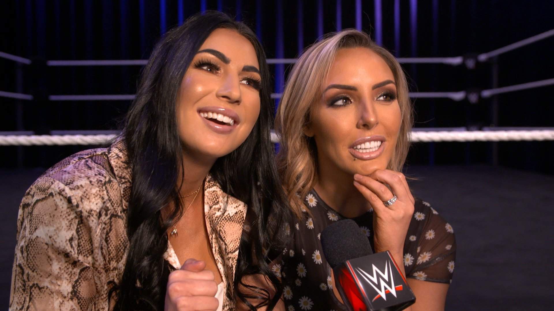 Carmella Ficou Abalada Pela Demissão Das IIconics | WWE Fãs BR Amino