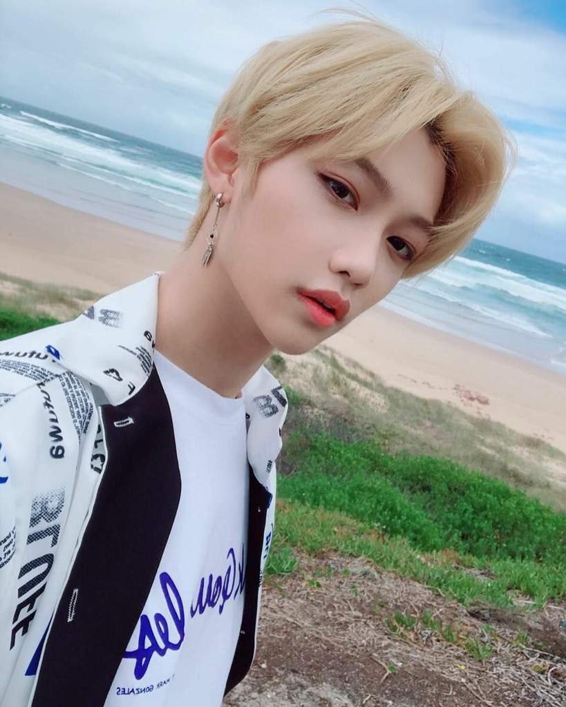 Феликс | Wiki | 𝐀𝐧𝐢𝐦𝐞×𝐀𝐬𝐢𝐚 Amino