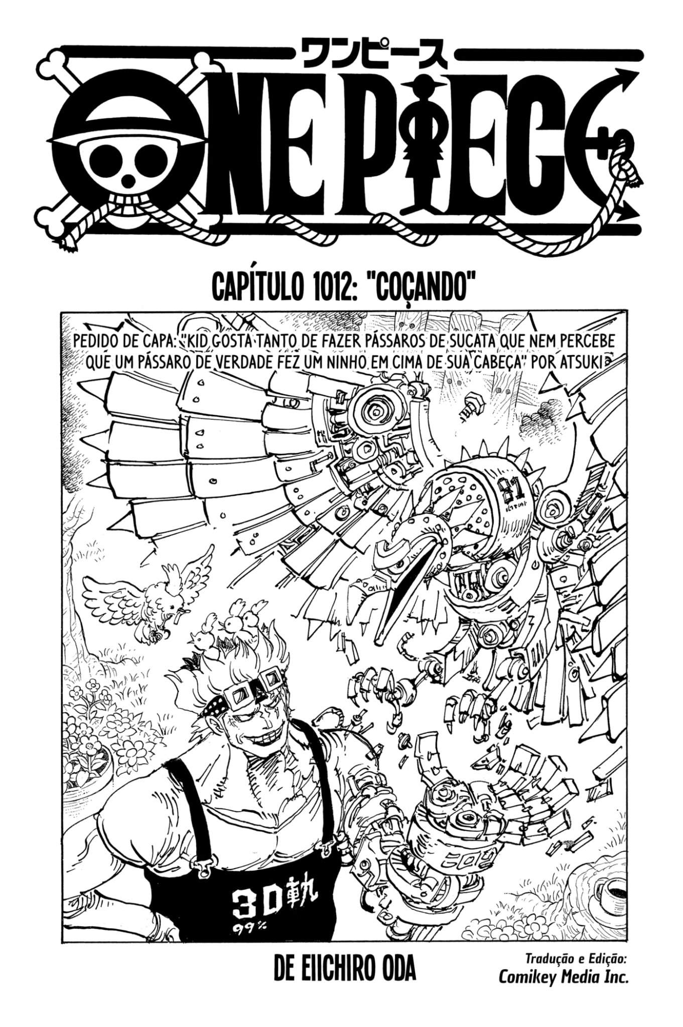 1012 | Wiki | One Piece Brasil™ Amino