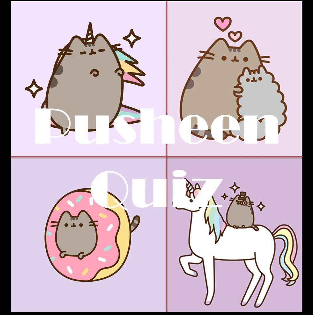 Pusheen Quiz Winners Pusheen The Cat Amino Amino
