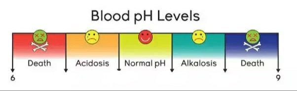 what-is-the-normal-ph-of-blood-school-amino