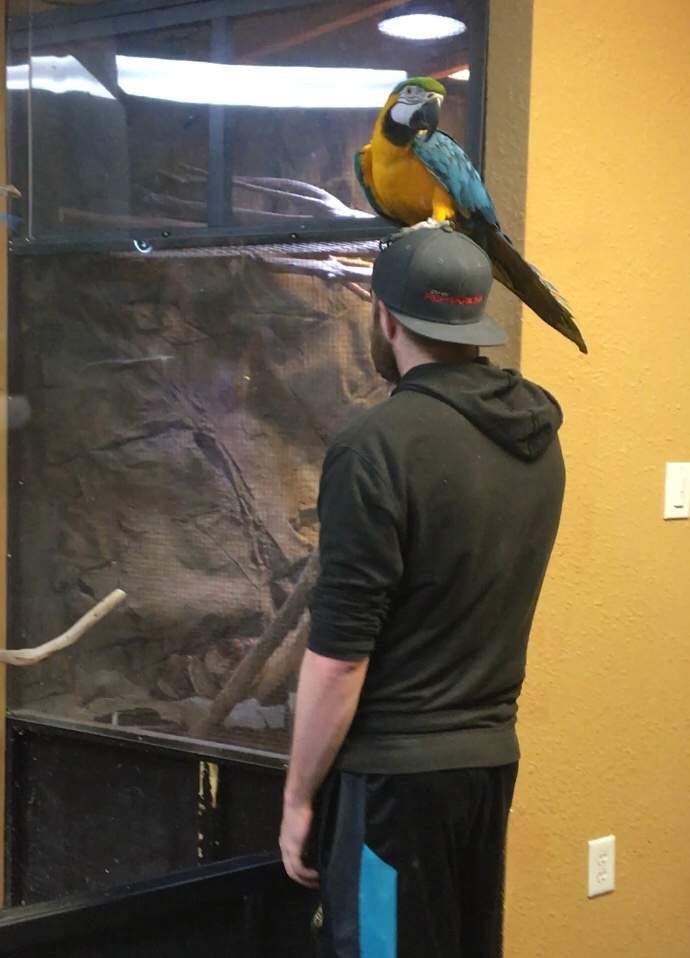 DFW Reptarium Reptiles Amino