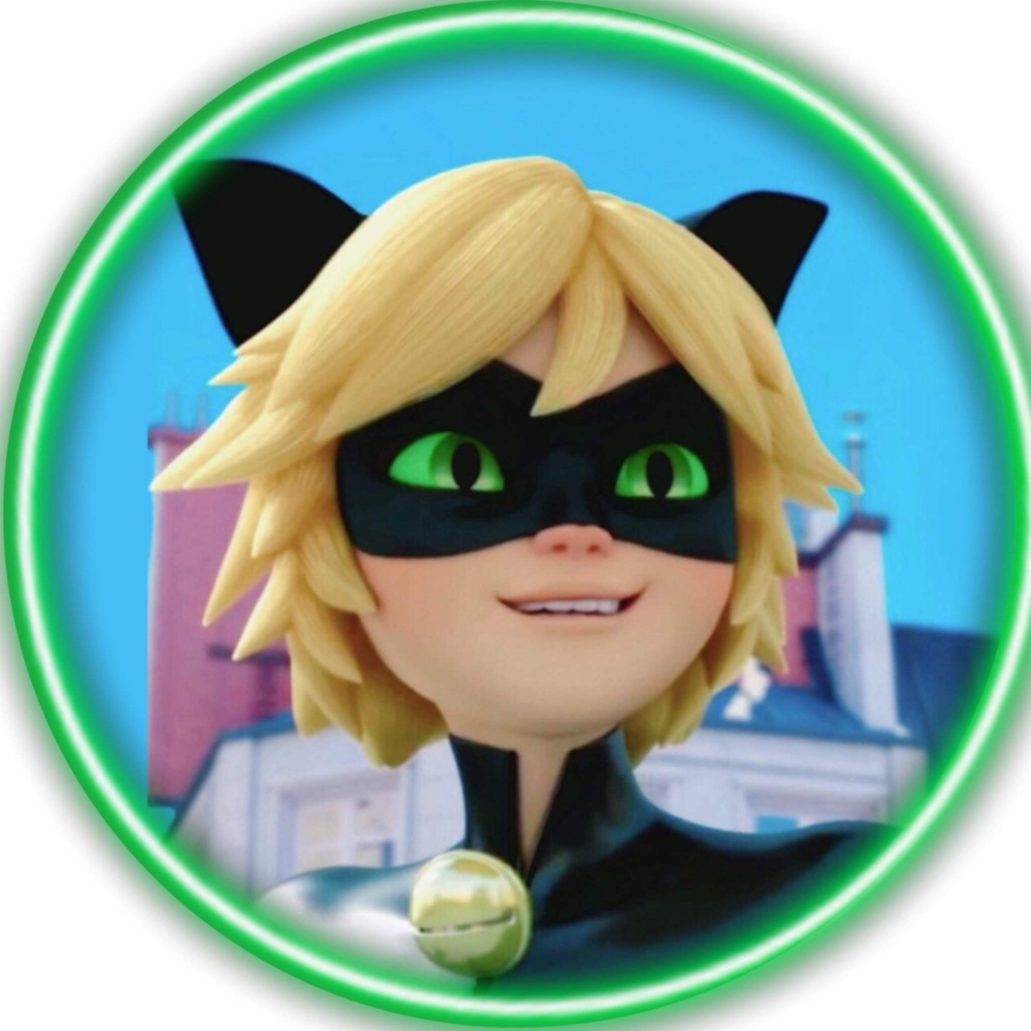 Cat noir pfp | Wiki | Miraculous Amino