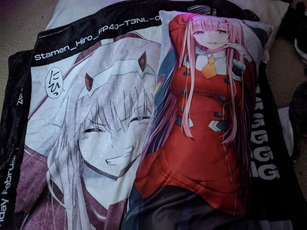 A day after my Zero Two body pillow was delivered, I showed my mom my