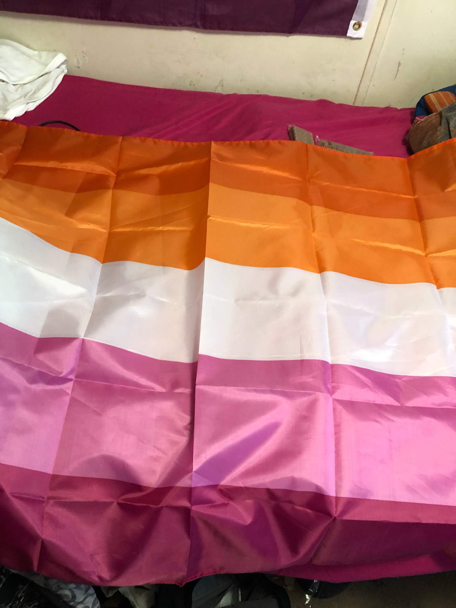 meant-to-post-this-but-i-finally-got-pride-flags-lesbian-dating-amino