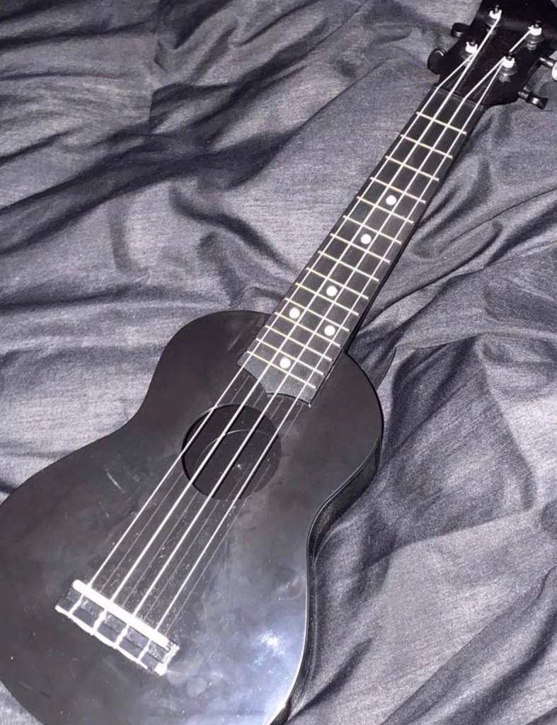 Ukulele Definition Wikipedia at John Vega blog