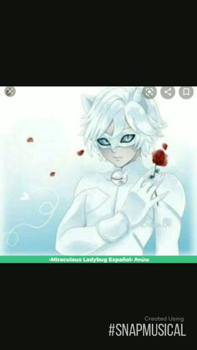 amino-🐞LADYBUG🐞(sin su gatito)-62415561