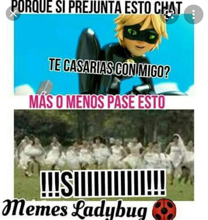 Memes 😂😂 •miraculous Ladybug Español• Amino