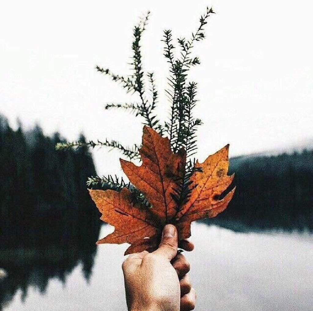 Подписать Фото В Инстаграме Про Осень Красиво