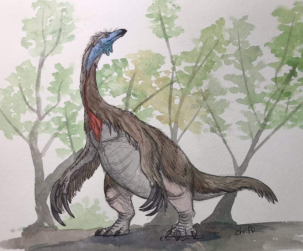 Теризинозавр и человек