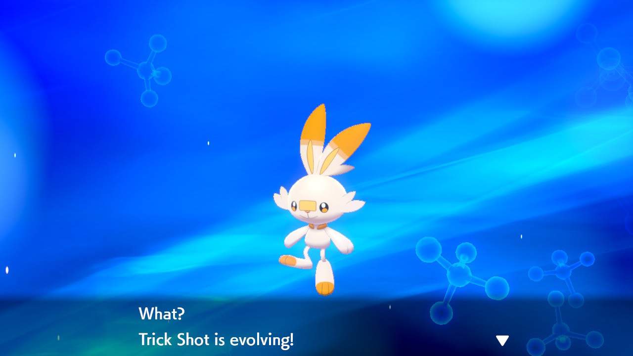 Evolved Shiny Scorbunny into Raboot Pokémon Amino