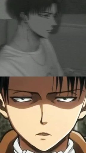 amino-Levi Ackerman-40e07f7b