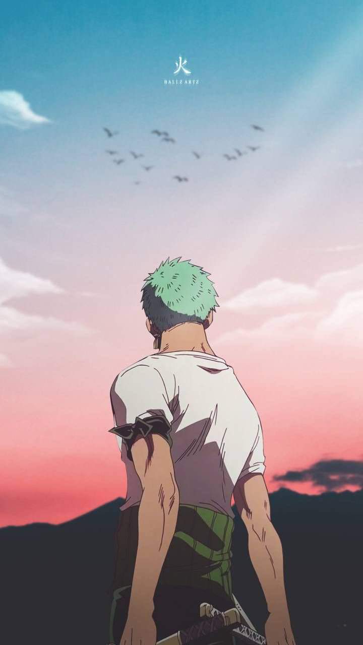 Fondo De Pantalla De Mi Papi Zoro Para Celulares Anime Amino