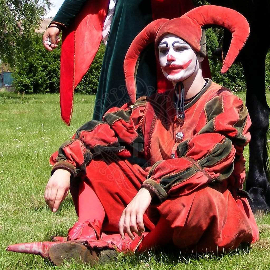 Шенер | Wiki | Как Приручить Дракона Amino