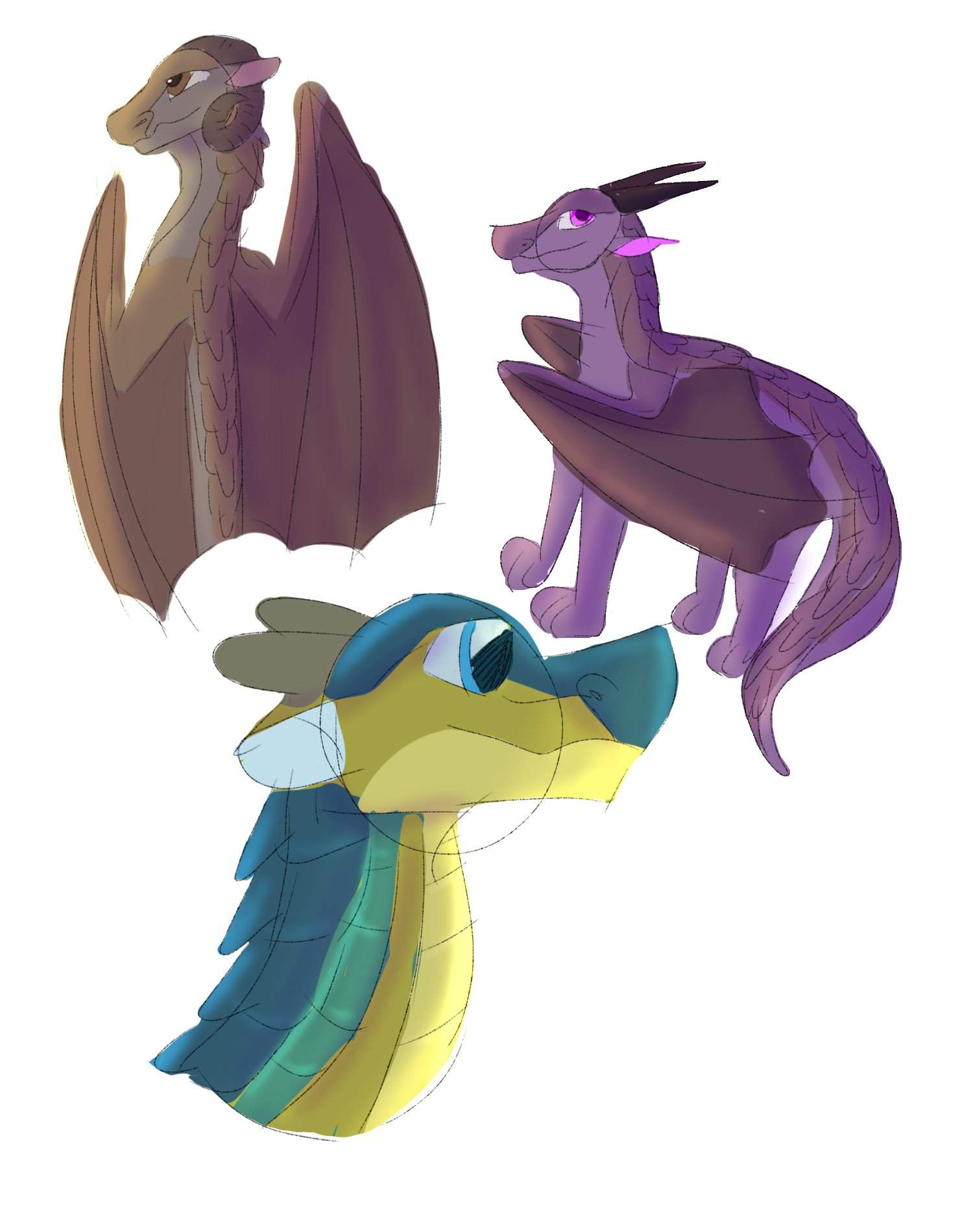 Even More Mudwing Sketches Wings Of Fire Amino