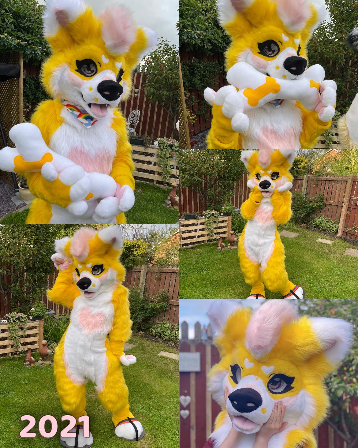 Corgi Fursuit Premade For Sale | Fursuit Maker Amino Amino