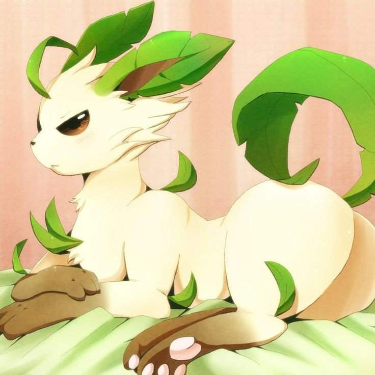 King the leafeon. 