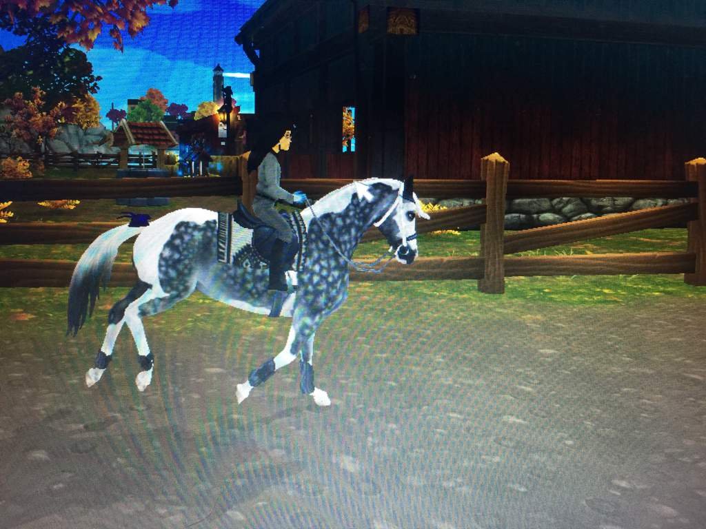 Rrp part 2 | Star Stable Online Amino