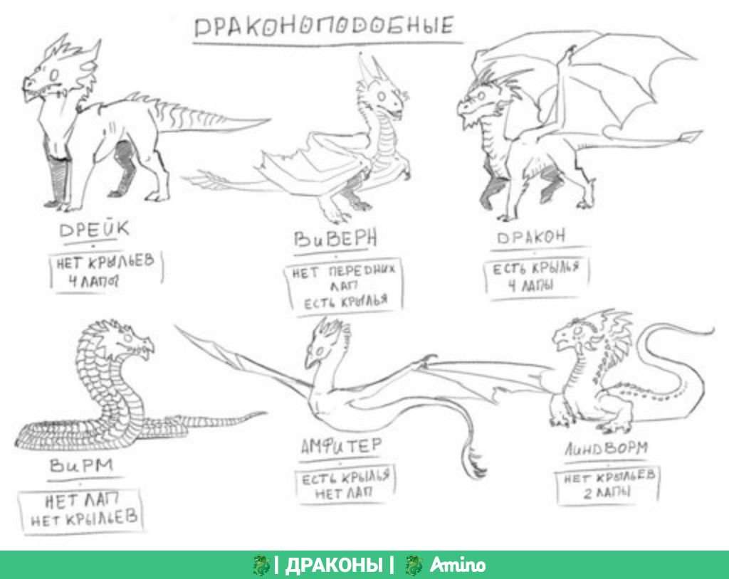 Дракон дрейк крючком схема и описание