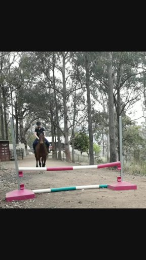 amino-Saraht_eventing-9cf22f7b