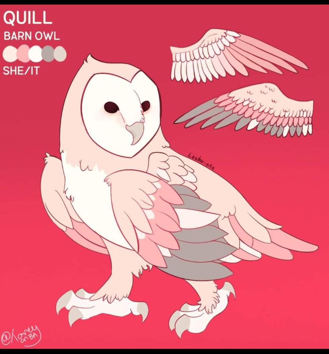 quill-wiki-birds-amino-amino