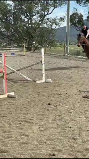 amino-Saraht_eventing-1fe232a3