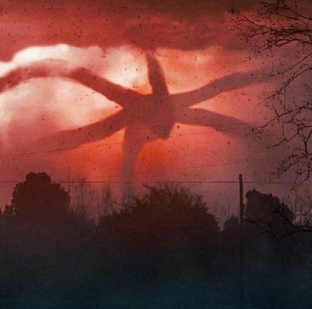 𝐅𝐥𝐚𝐠𝐞𝐥𝐥𝐞𝐮𝐫 𝐦𝐞𝐧𝐭𝐚𝐥𝐞 Wiki Stranger Things [rp/fr] Amino