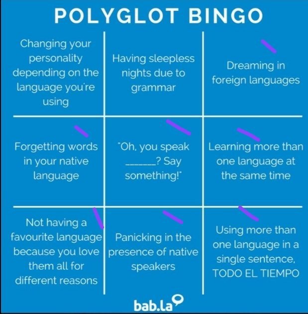 Bingo! Language Exchange Amino