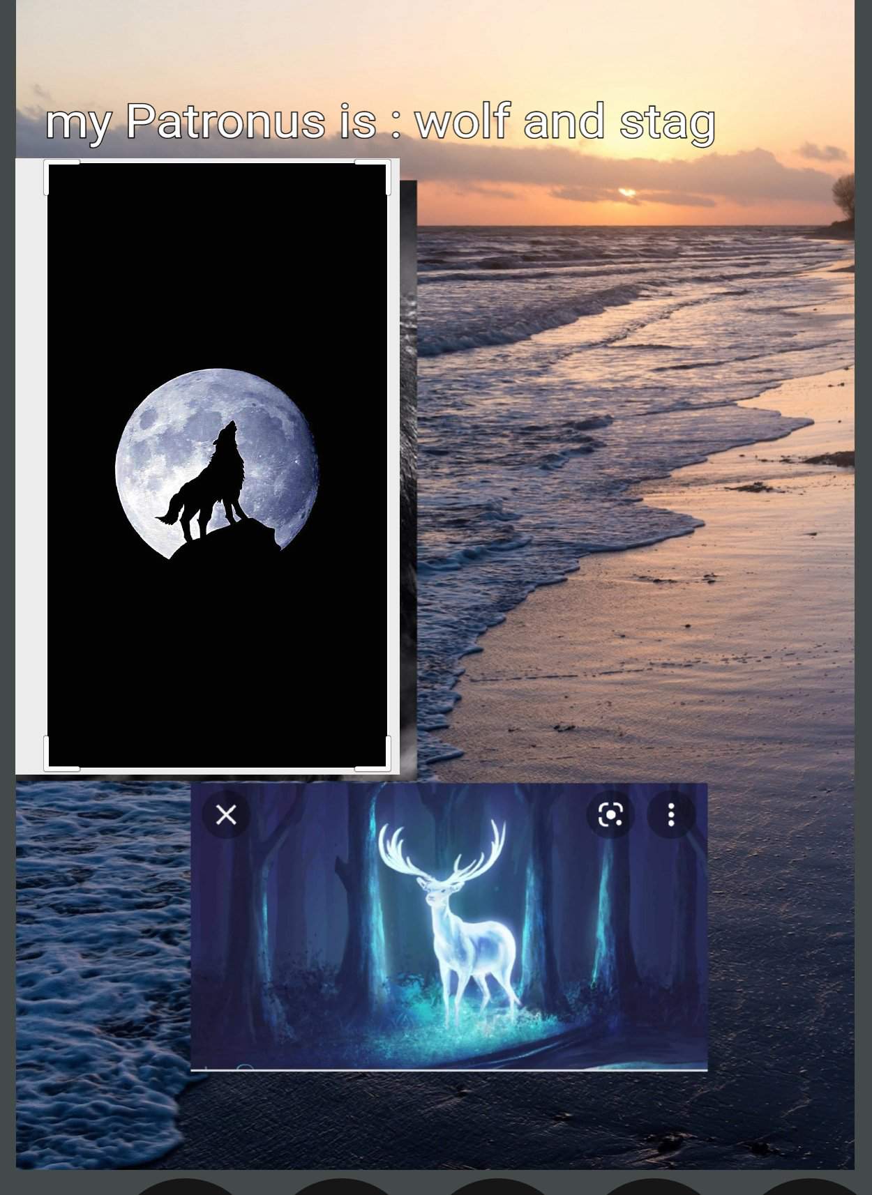 What Is My Patronus Harry Potter Amino