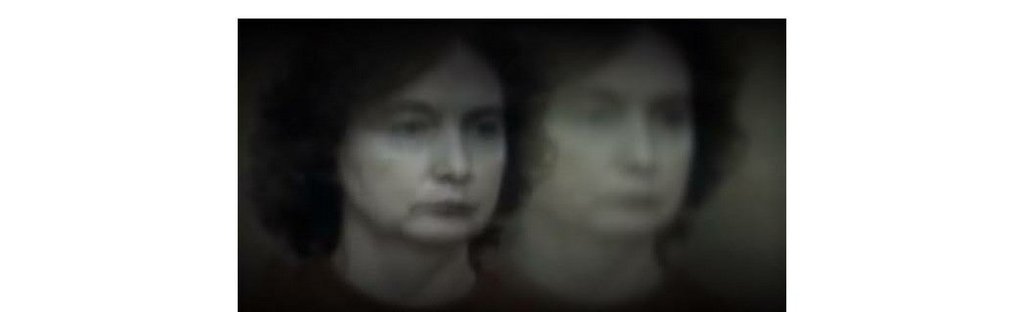 . Theresa Knorr Terror Amino