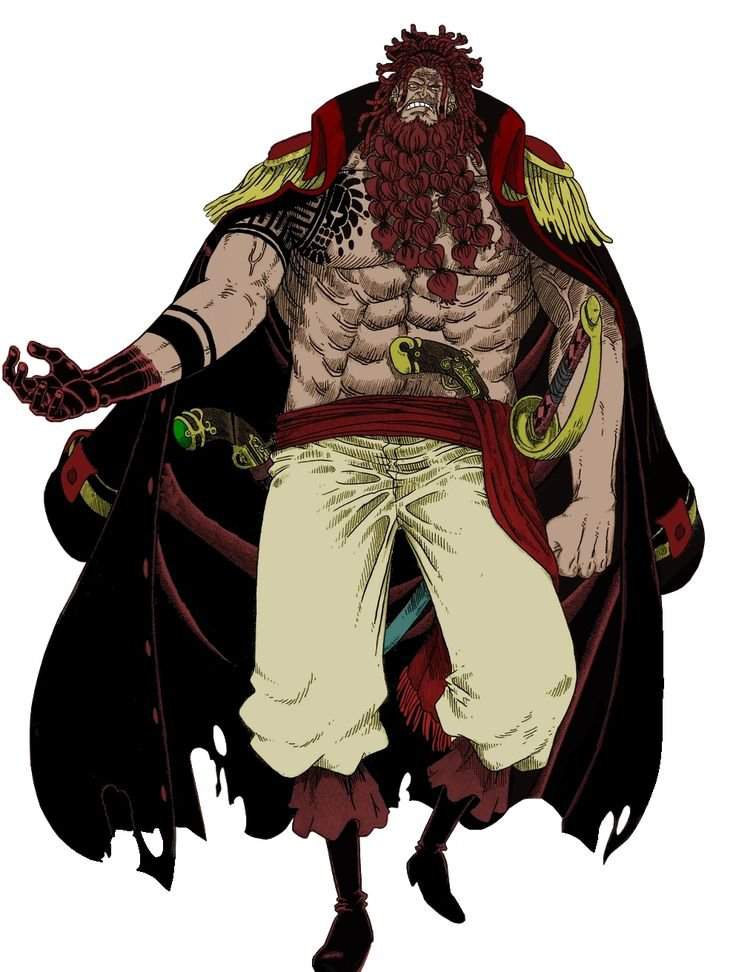 Barberousse Wiki One Piece Rp ⚡ Amino